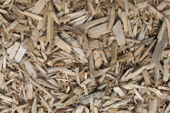 biomass boilers White Stone